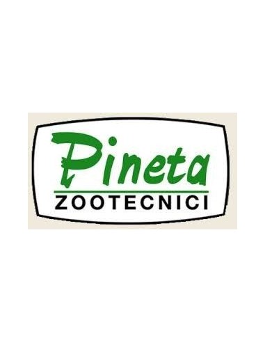 Pienta