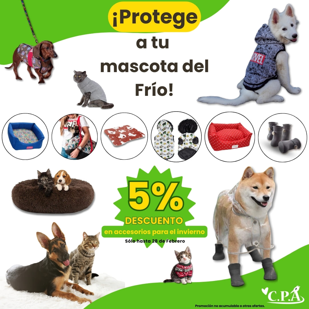 ACCESORIOS INVIERNO MASCOTAS