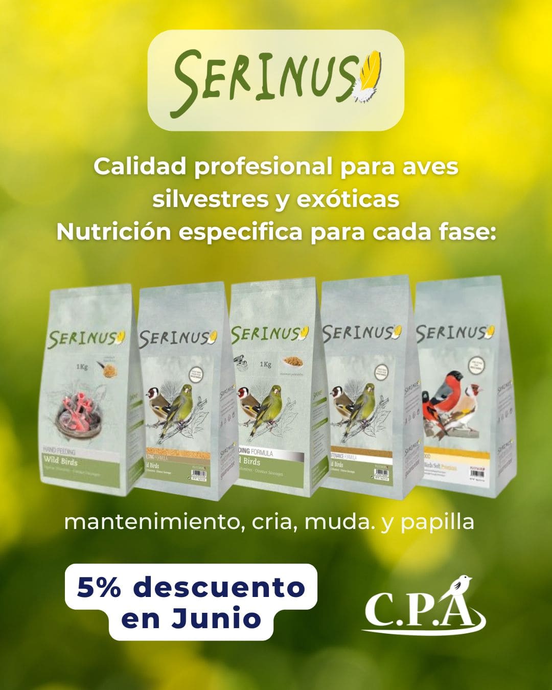 alimentacion para aves silvestres