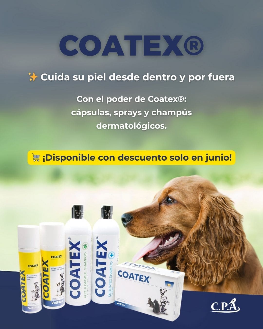 cuidado piel perros  y gatos
