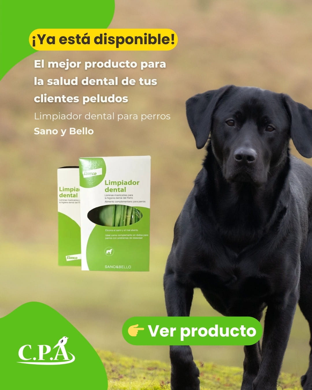 limpiador dental para perros