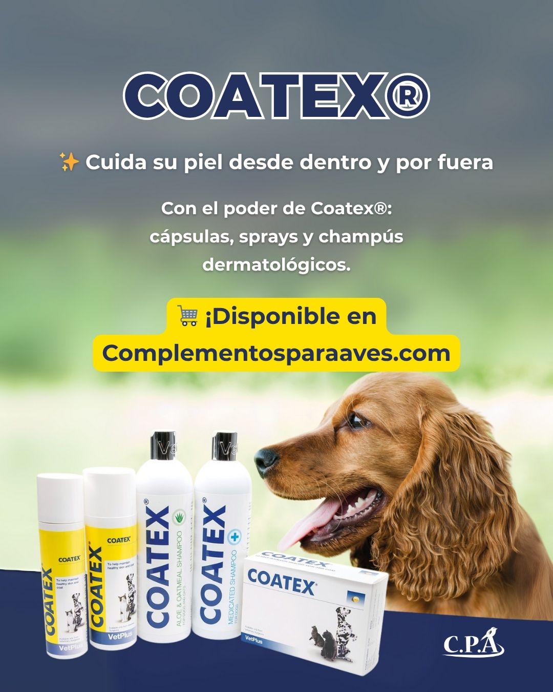 cuidado piel perros  y gatos