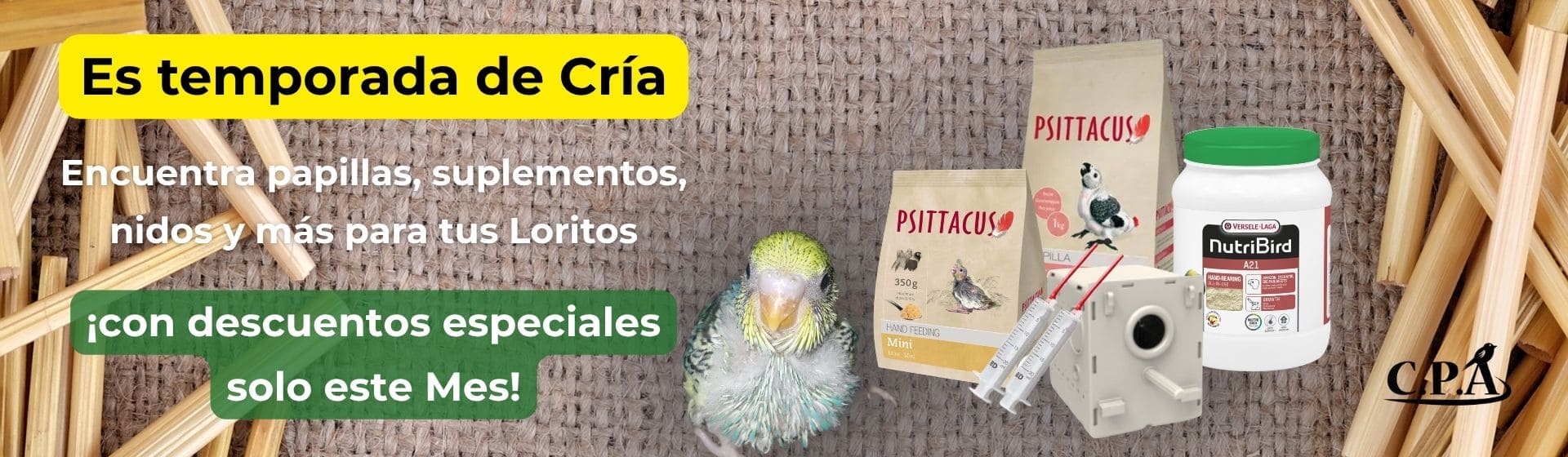 productos cria loros
