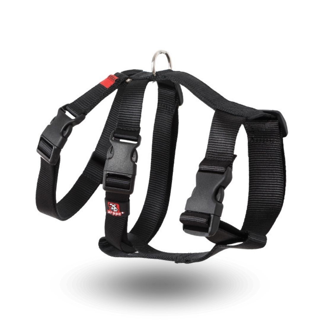 Arnés De Nylon Basic Arppe Para Perro - Ajustable, Cierre Rápido, Talla Única (Cuello 38-57.5 Cm, Pecho 55-75 Cm)