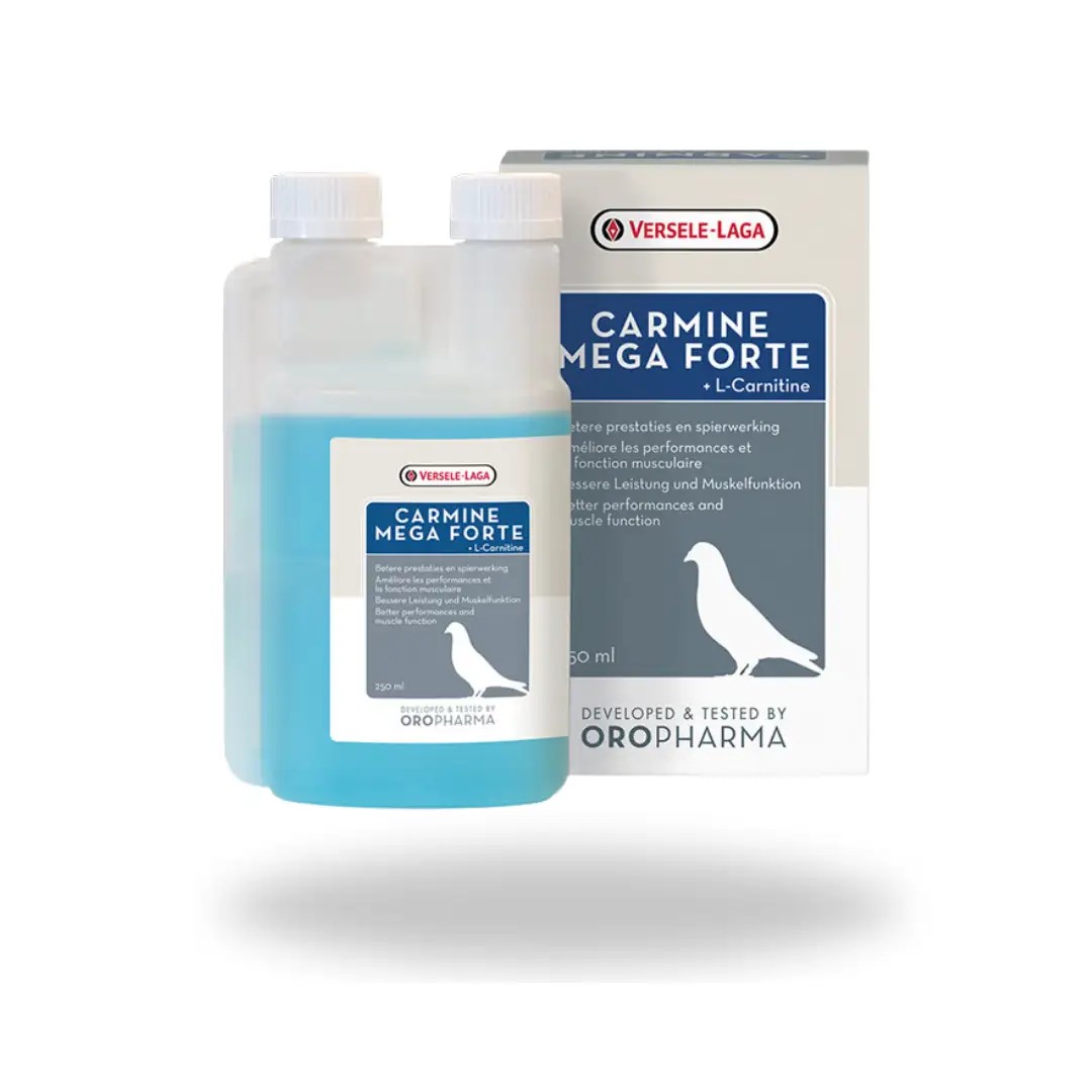 l carnitine for pigeon CARMIN L CARITIN VERSELE LAGA 250 ML. OROPHARMA