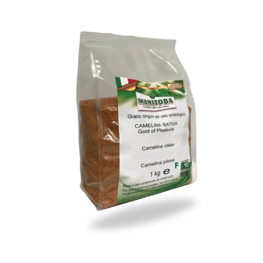 Semilla de Camelina Sativa MANITOBA 1 kg