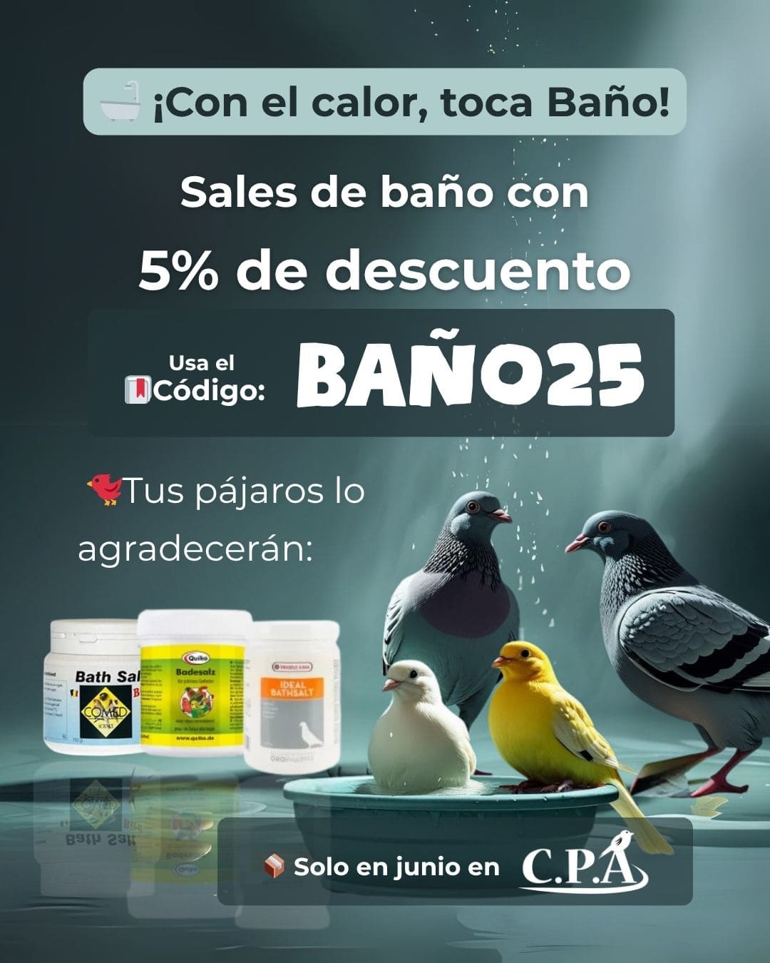 productos parael baño en aves