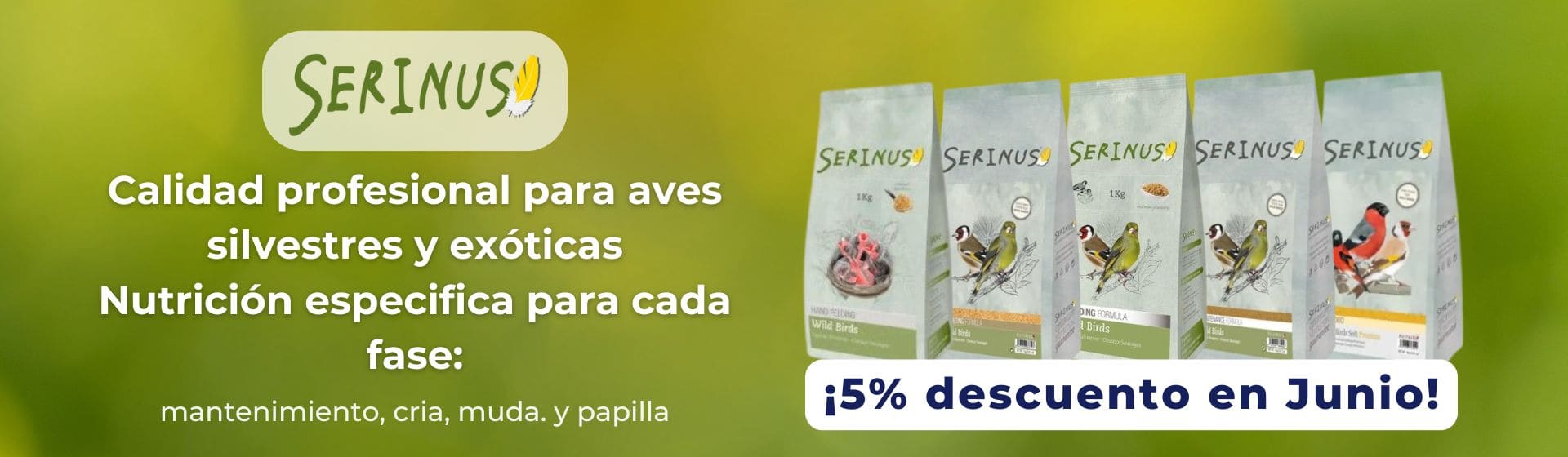 alimentacion para aves silvestres serinus
