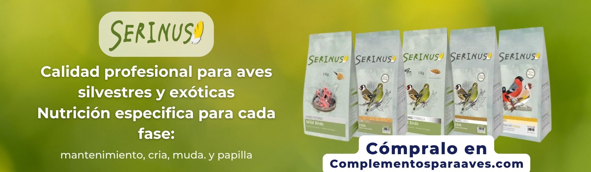 alimentacion para aves silvestres serinus