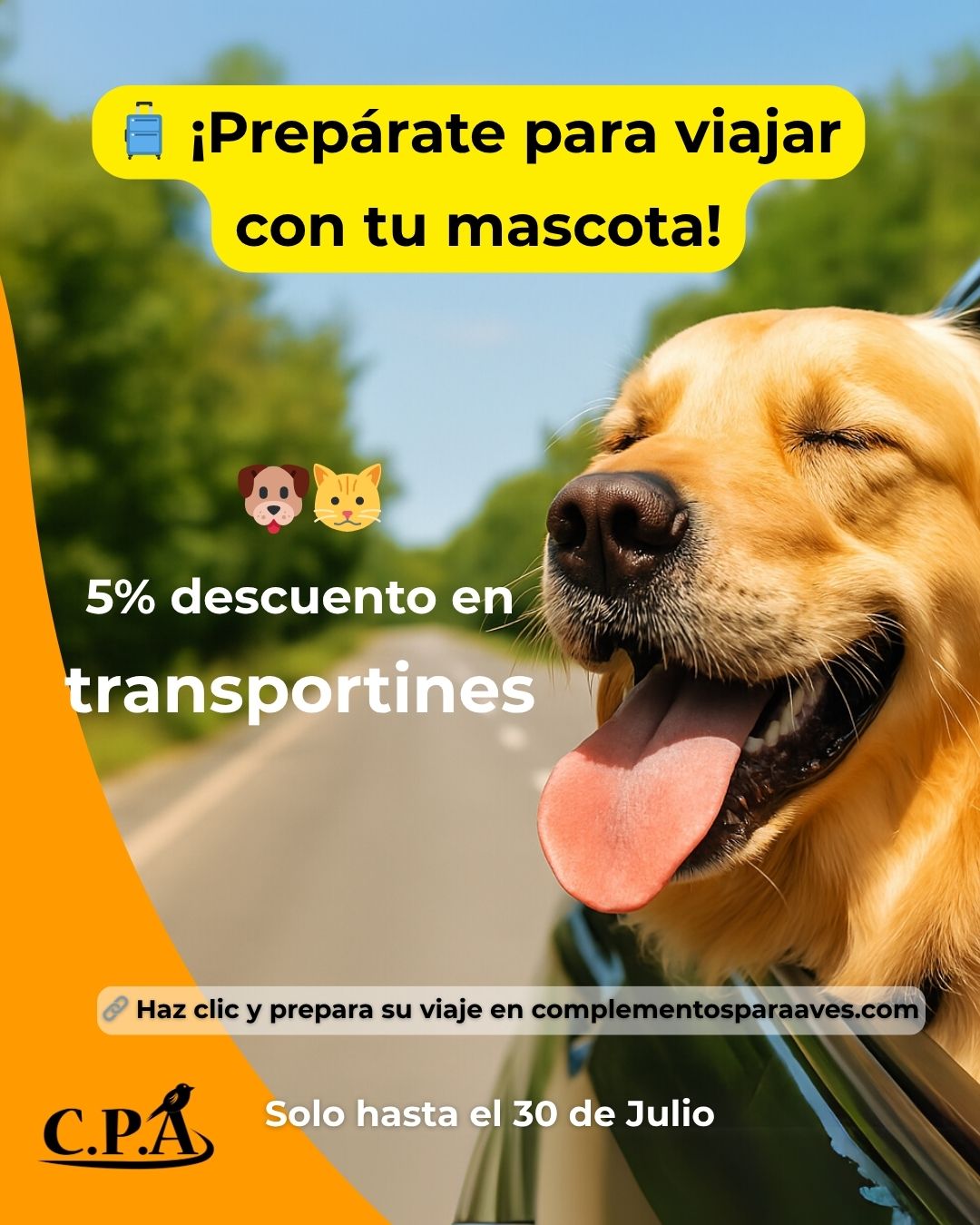 transportines para mascotas